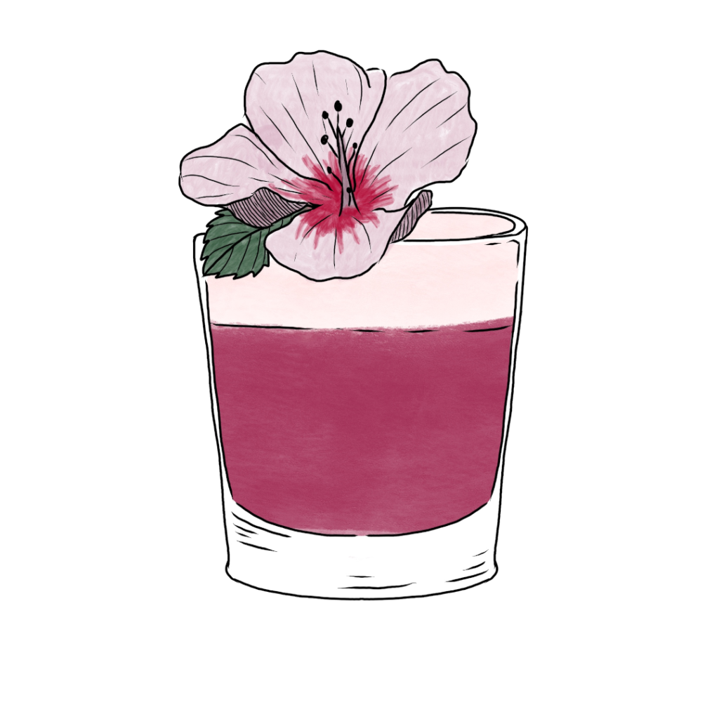 Raicilla sour cocktail